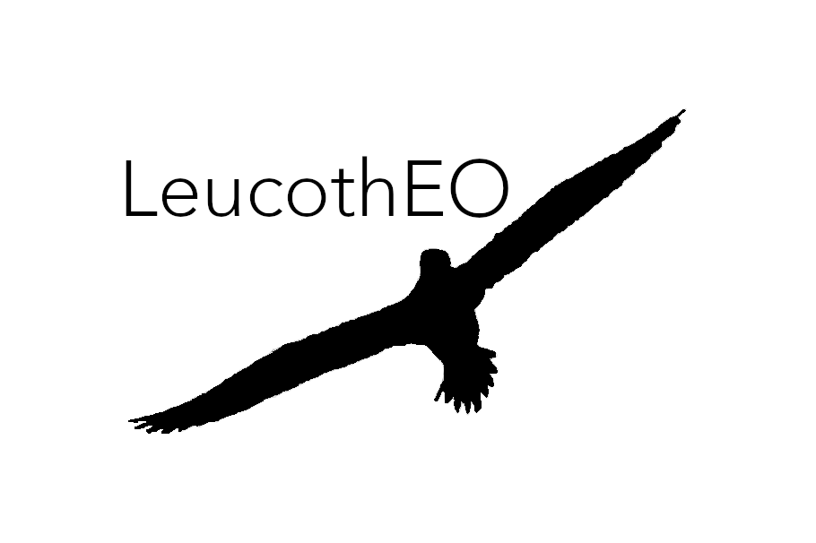 Logo LeucothEO